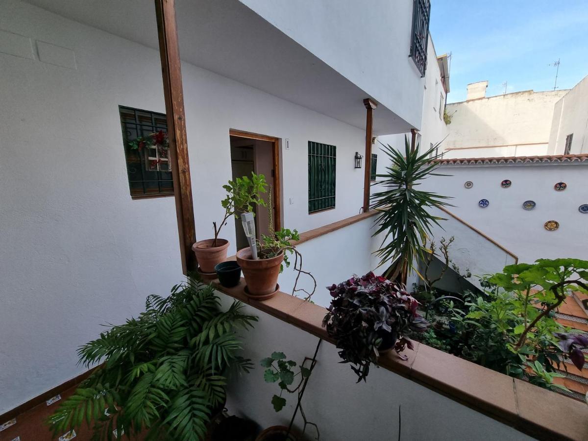 Apartamentos En Patio Cordobes San Basilio Córdoba Exteriör bild