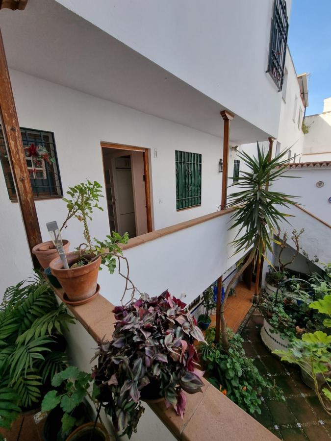 Apartamentos En Patio Cordobes San Basilio Córdoba Exteriör bild